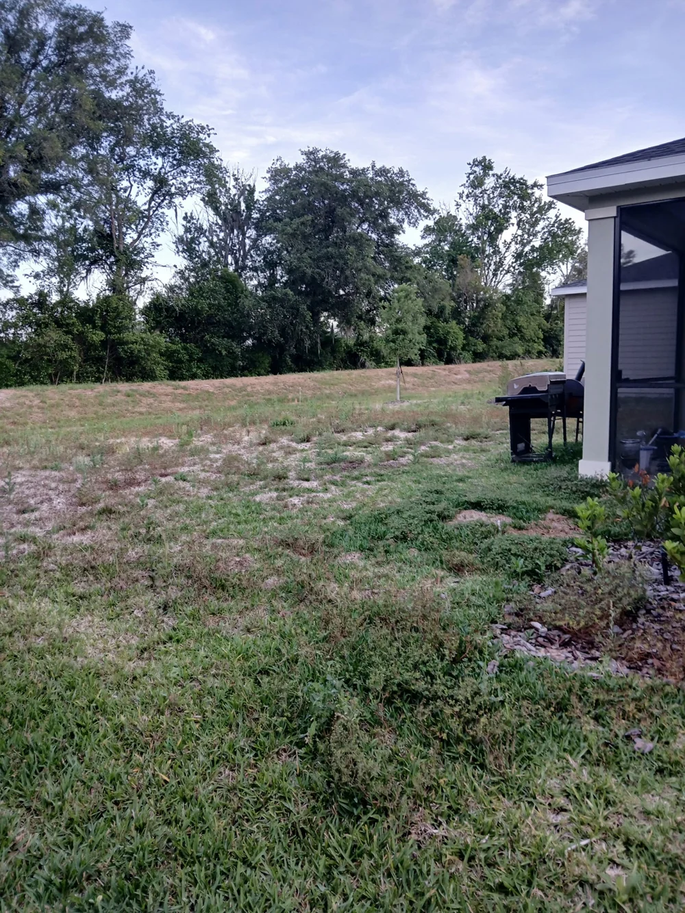 Before lawn and landscape bed care: mulch beds by the back porch