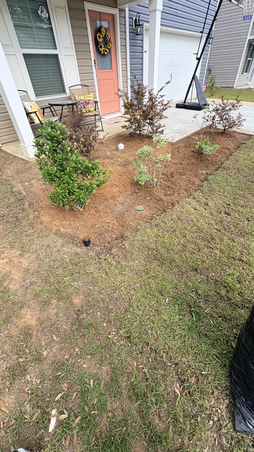 Before mulch installation: front landscape bed