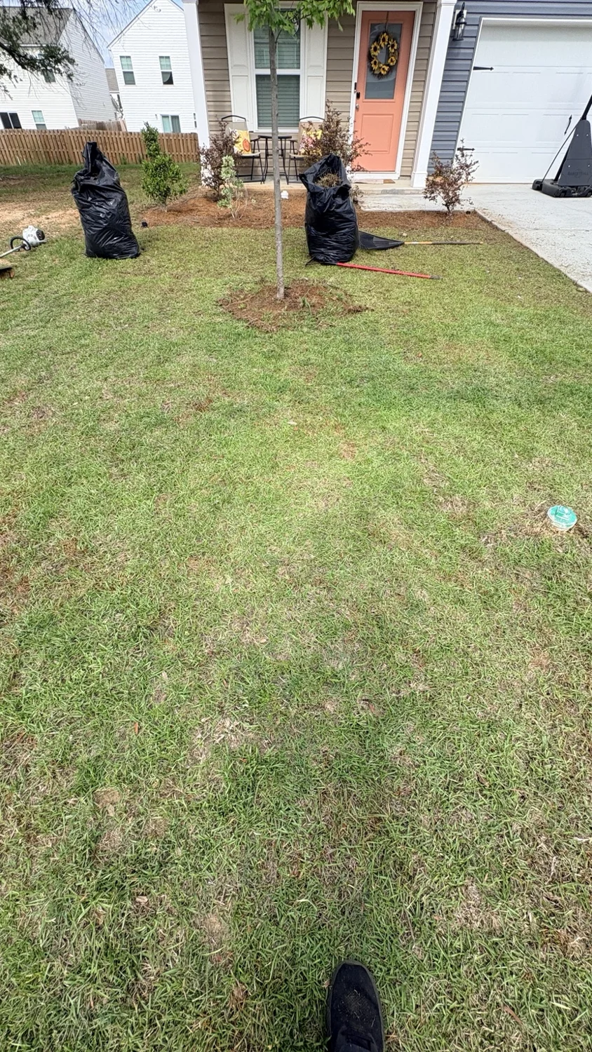 Before mulch installation: the finished front yard