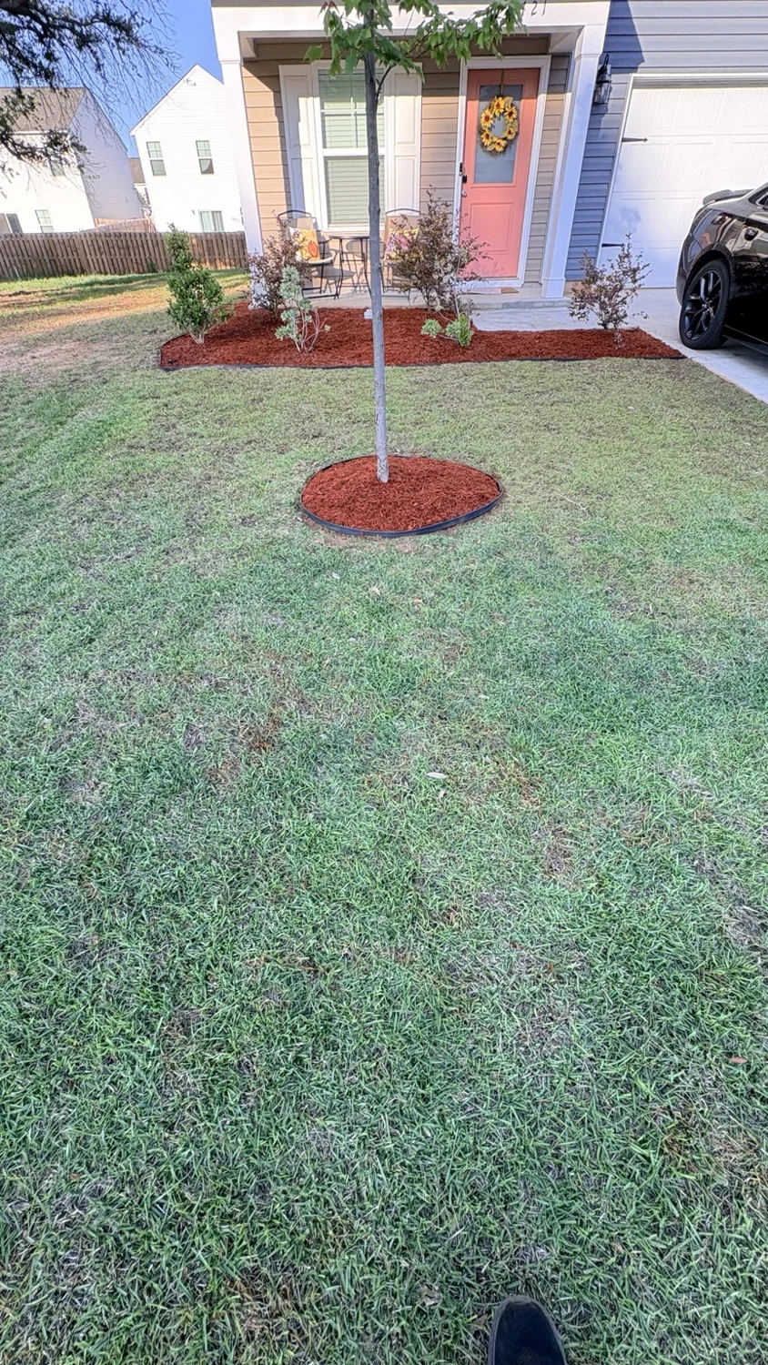After mulch installation: the finished front yard by Fixed by Hicks