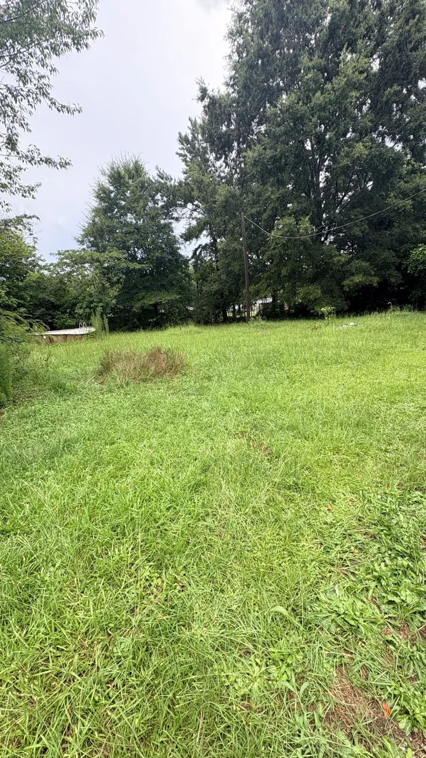Before lawn mowing: tall grass brought under control