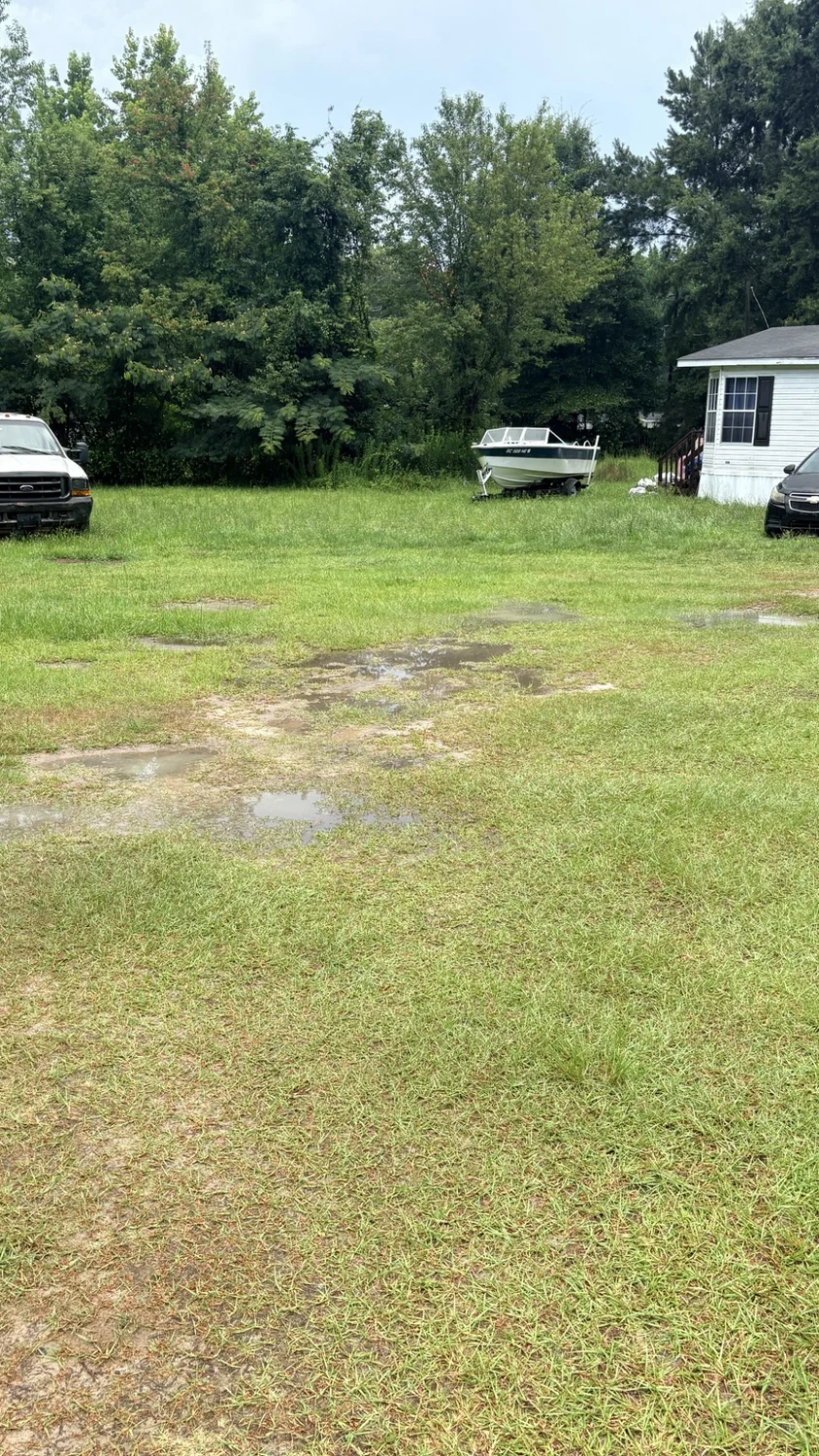 Before lawn mowing: lawn care across the property