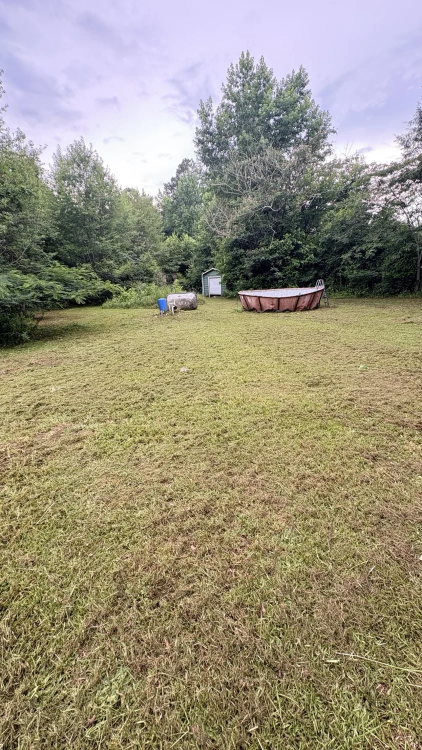 After lawn mowing: an open yard, freshly cut by Fixed by Hicks
