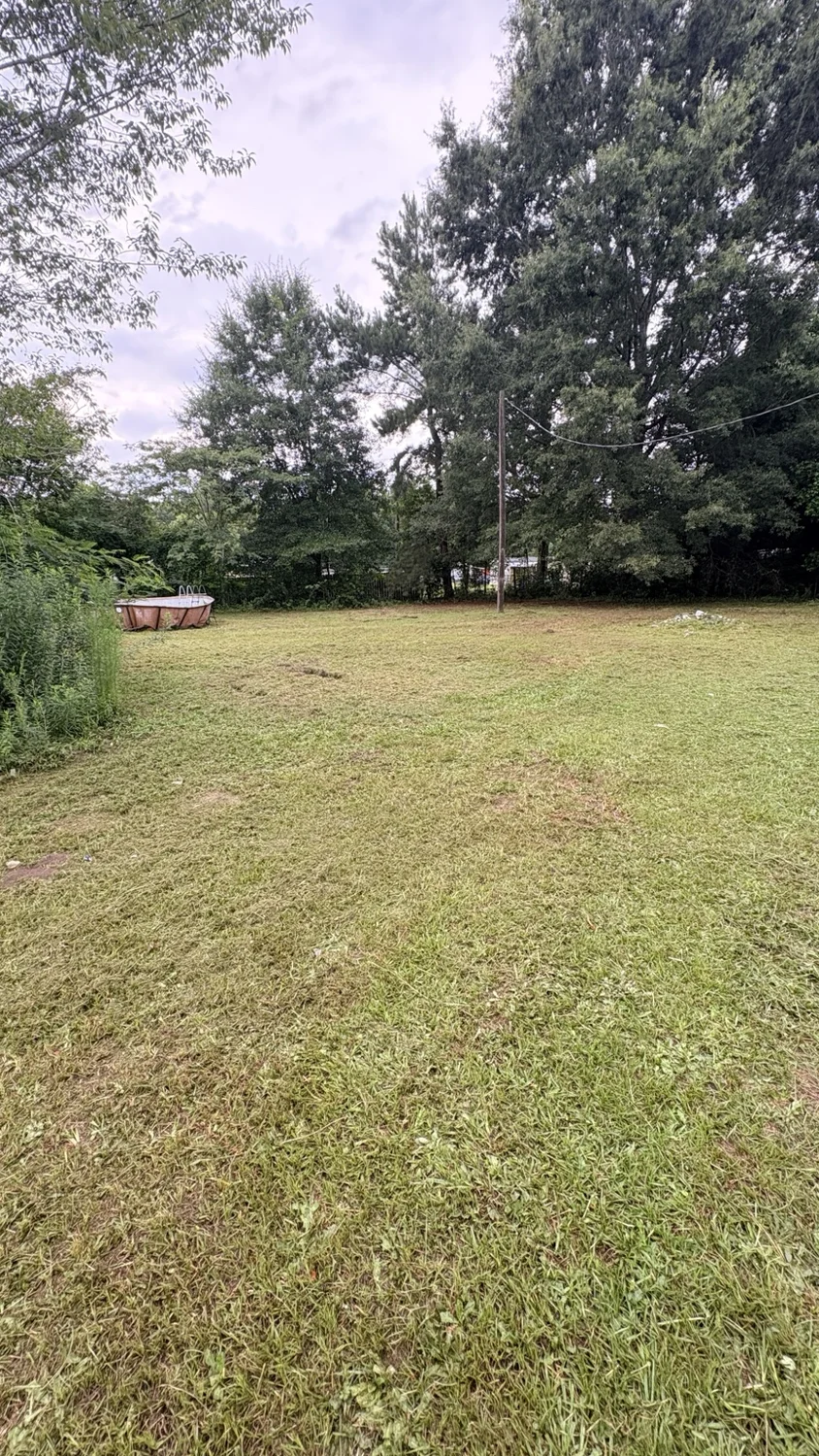 After lawn mowing: tall grass brought under control by Fixed by Hicks