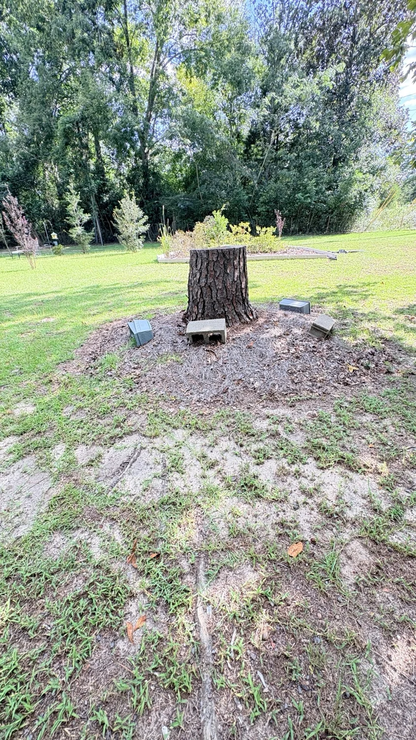 Before cleanup around the stump: customer property before Fixed by Hicks lawn care