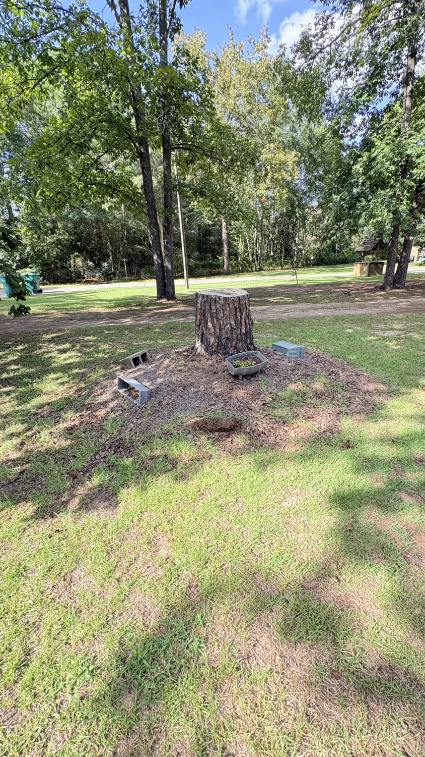 Before stump area · another view: customer property before Fixed by Hicks lawn care