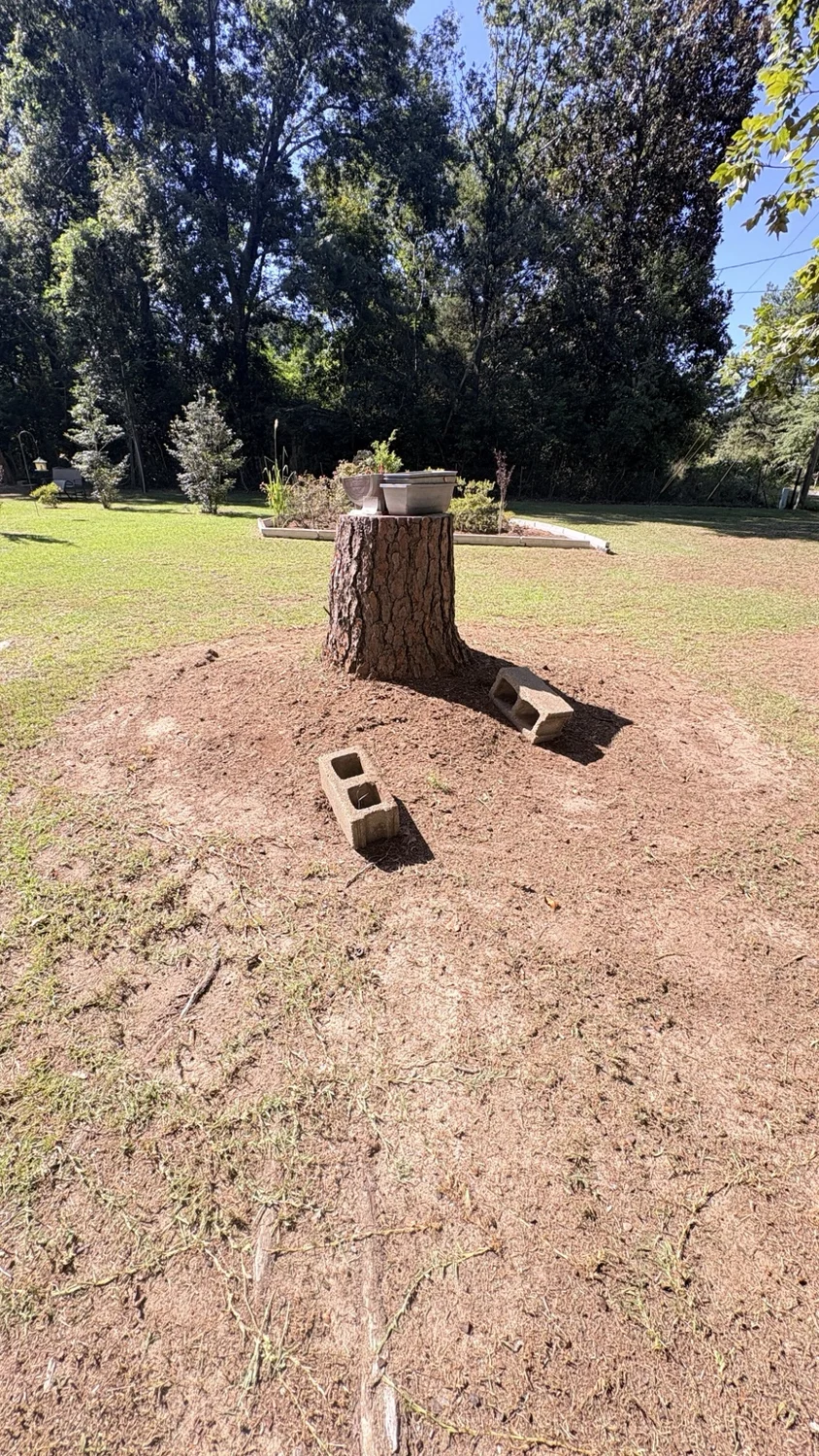 After cleanup around the stump: finished work by Fixed by Hicks