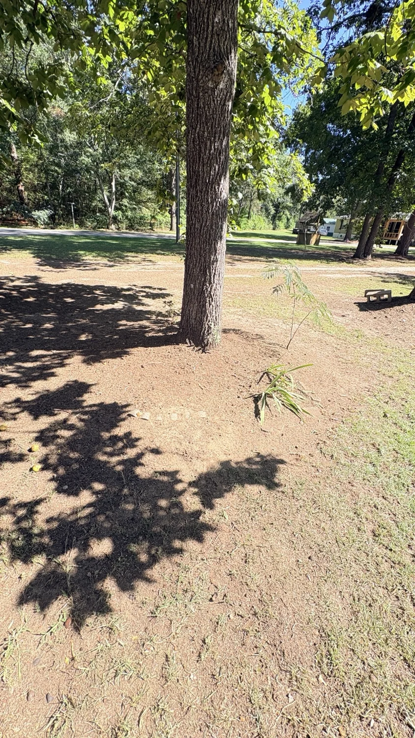 After tree area · shaded view: finished work by Fixed by Hicks